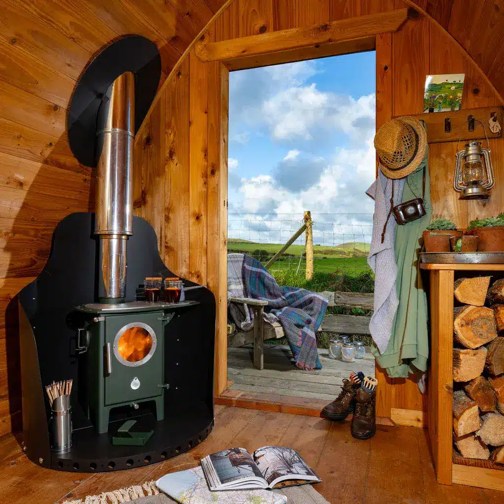 Chilli Billie Gentoo in Round Enclosure